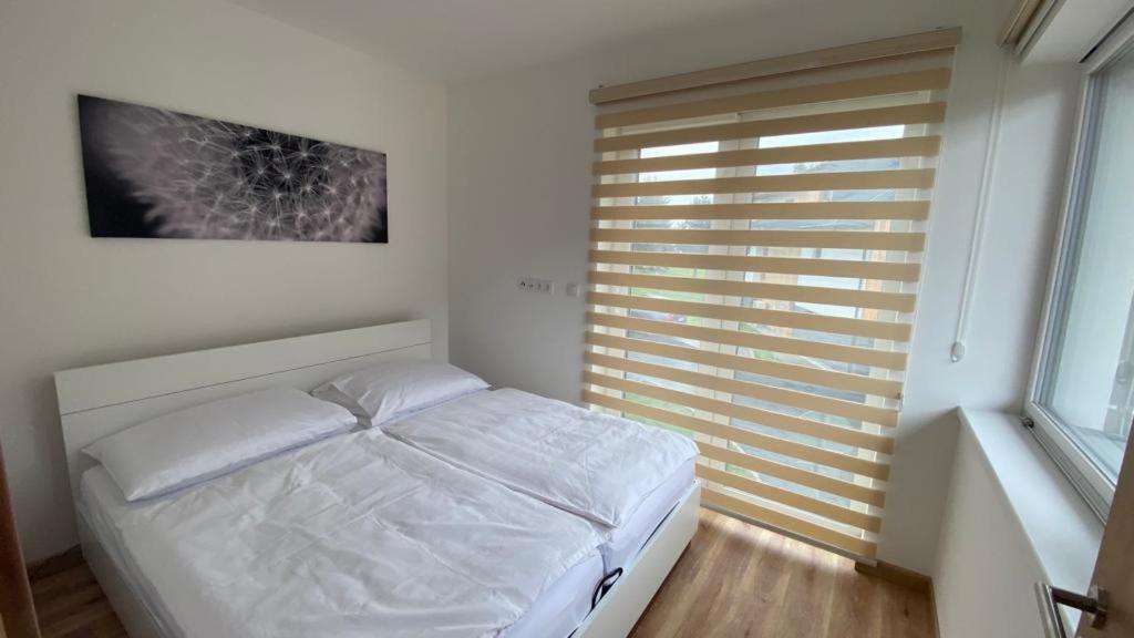 Apartmany - Male Lipno Černá v Pošumaví エクステリア 写真