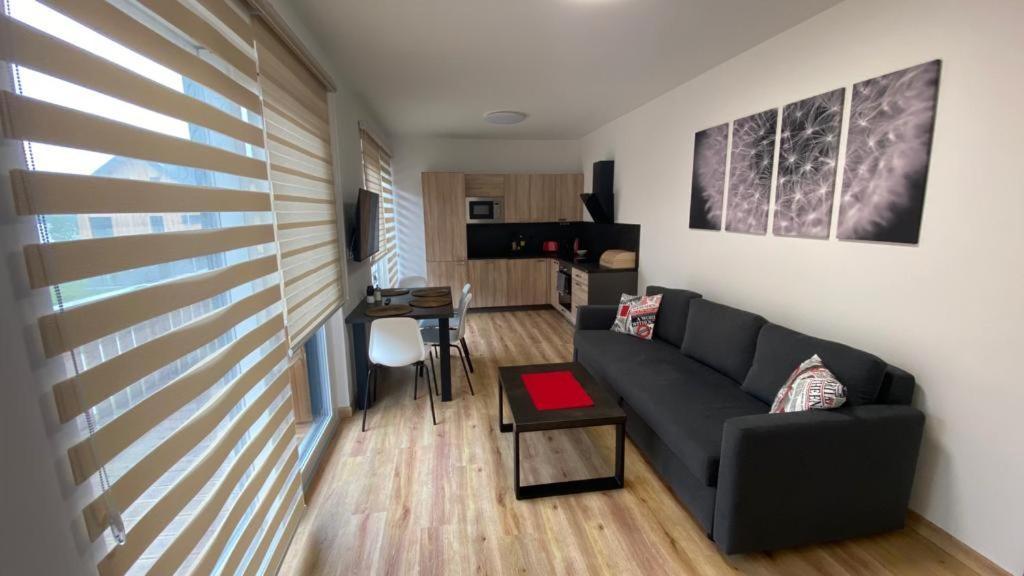 Apartmany - Male Lipno Černá v Pošumaví エクステリア 写真