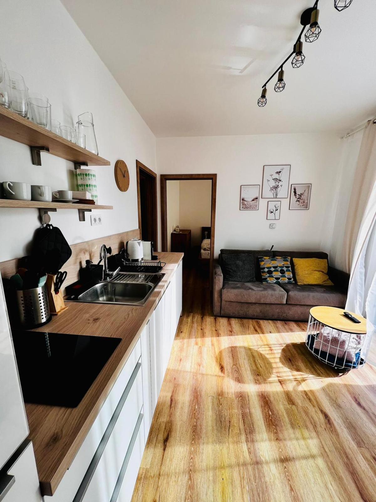 Apartmany - Male Lipno Černá v Pošumaví 部屋 写真
