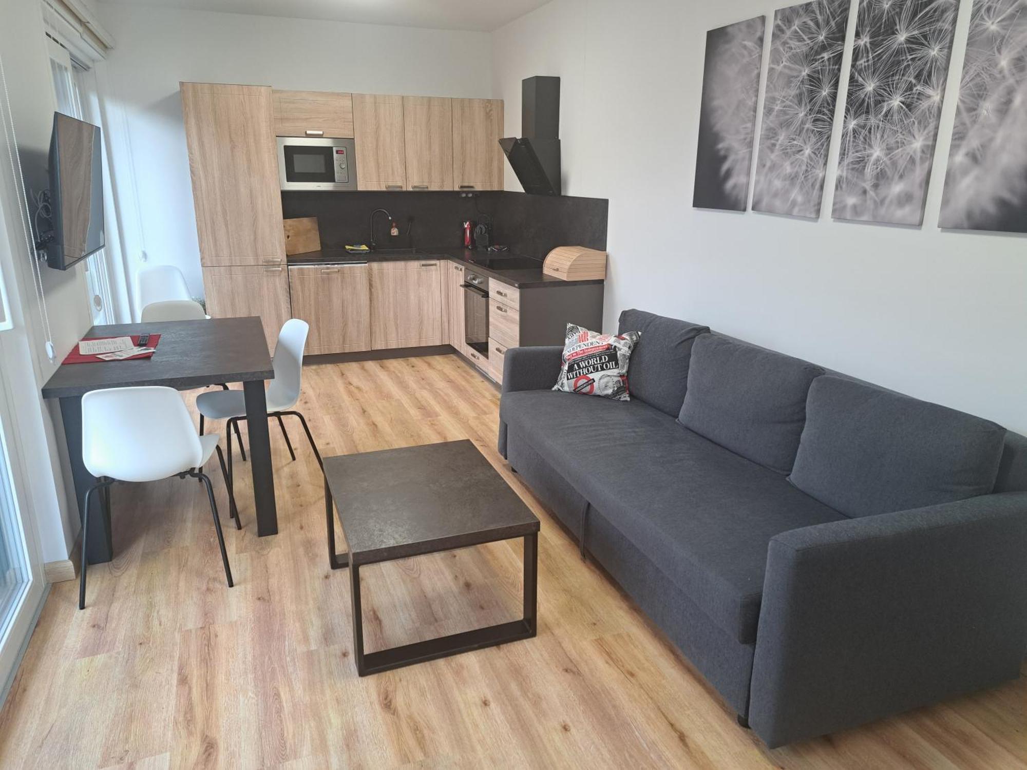 Apartmany - Male Lipno Černá v Pošumaví 部屋 写真